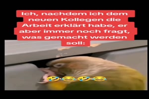 Da-kann-man-verrückt-werden.mp4 auf www.funpot.net