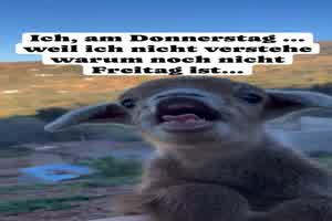 Noch nicht Freitag