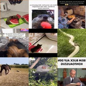 witzige animierte Bilder aus verschiedenen Blogs