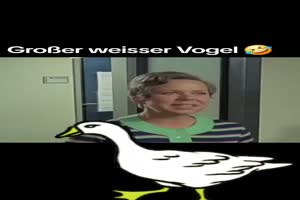 HEINZ ERHARDT - Groer weier Vogel