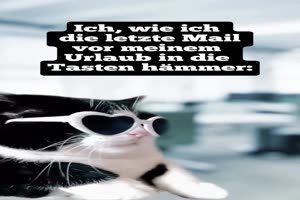 Kurz-vor-dem-Urlaub.mp4 auf www.funpot.net