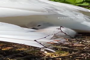 sehr-lieb.mp4 auf www.funpot.net