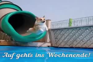 Auf-gehts-ins-Wochenende.mp4 auf www.funpot.net