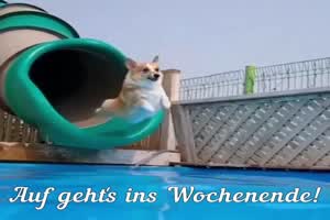 Auf gehts ins Wochenende