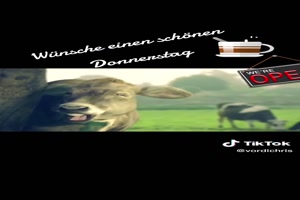 Wünsche einen schönen Donnerstag