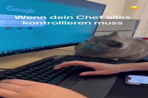 Der-Chef-muss-alles-kontrollieren.mp4 auf www.funpot.net