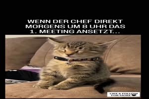 Meeting-morgens-um-8-Uhr.mp4 auf www.funpot.net