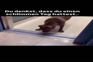 Kein-guter-Tag-für-ihn.mp4 auf www.funpot.net