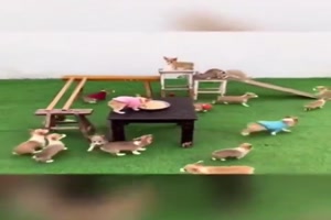 Manche-sind-einfach-schlauer-als-andere.mp4 auf www.funpot.net