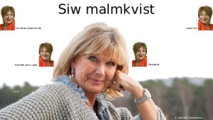 siw malmkvist 005