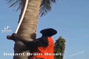 Brain Reset