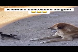 Keine Schwche zeigen