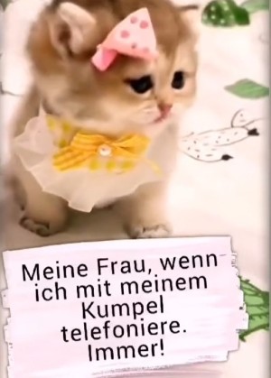 Meine Frau