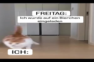 Wenn-ich-auf-ein-Bierchen-eingeladen-wurde.mp4 auf www.funpot.net