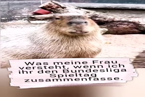 Was meine Frau versteht