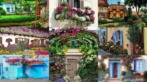 Houses and Flowers