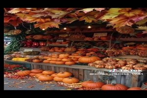 Beautiful Autumn day - Schner Herbsttag