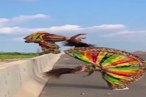 Das sieht cool aus