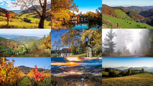 Herbst im Schwarzwald