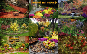 Garten im Herbst