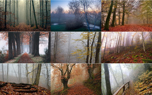 foggy november nebliger november von Judith