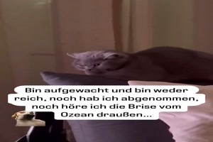 So geht es mir auch