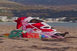 Weihnachtsdackel am Strand