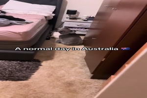 Normaler Tag in Australien