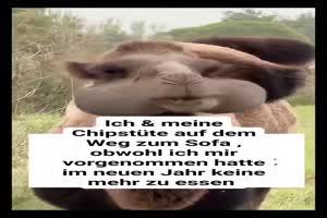 Ich und meine Chipstüte