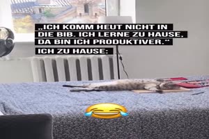 Ich lerne heute zuhause