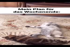 Plan frs Wochenende