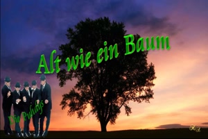 Video-Alt-wie-ein-Baum---Puhdys-).mp4 von kathi