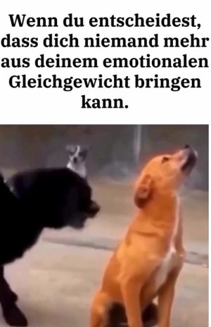 Mich bringt Niemand mehr aus dem Gleichgewicht