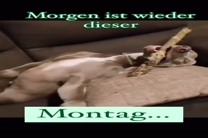 Dieser-Montag.mp4 auf www.funpot.net