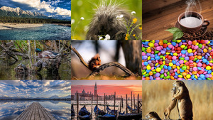 klicke hier, um die Datei herunterzuladen Photo-mix 246