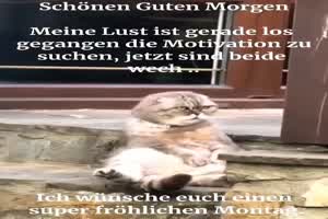 Meine Motivation