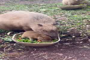 Mitten im Essen