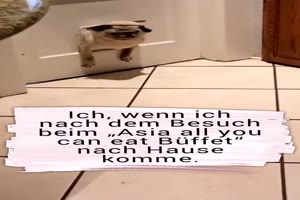 Bisschen viel gegessen