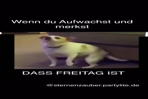 Es-ist-Freitag.mp4 auf www.funpot.net