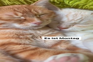 Es ist Montag