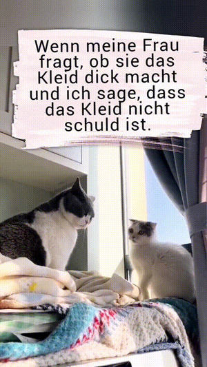 Handgemenge.gif von Celina93