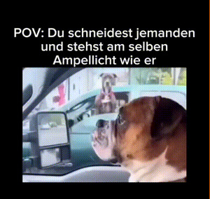 Nur-nicht-rbergucken.gif von Adam25