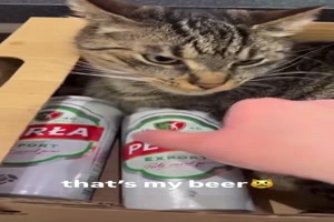 Finger weg von meinem Bier