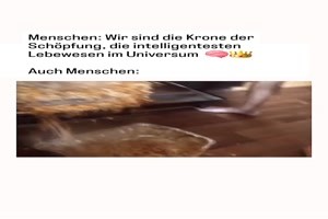 FunpotNews