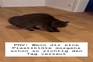Was ist das für eine Tüte?