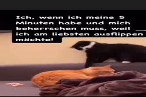 weiter