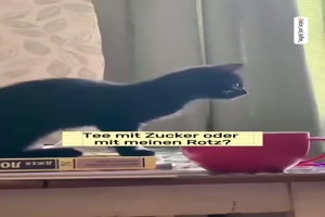 Einmal-in-den-Tee-geniest.mp4 auf www.funpot.net