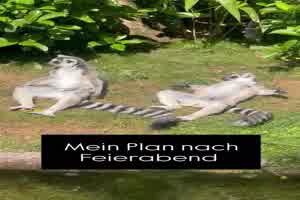 weiter
