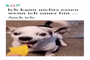 weiter