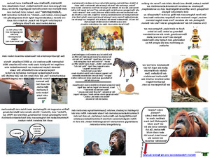 klicke hier, um die Datei herunterzuladen Die Sprache der Tiere